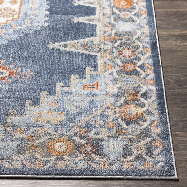 Driefontein Area Rug - Clearance Supply - Image 4