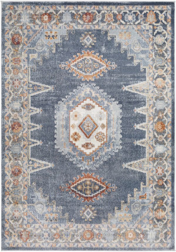 Driefontein Area Rug - Clearance Supply - Image 2