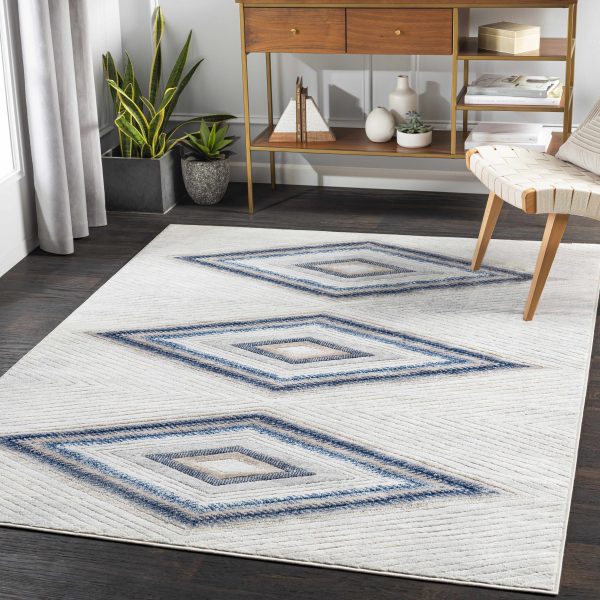 Boise Area Rug - Clearance Discount