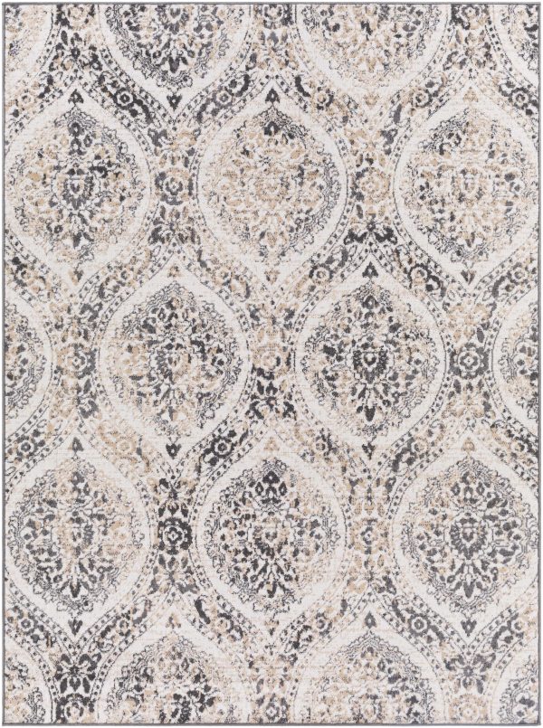 Delmar Area Rug - Clearance Supply - Image 3