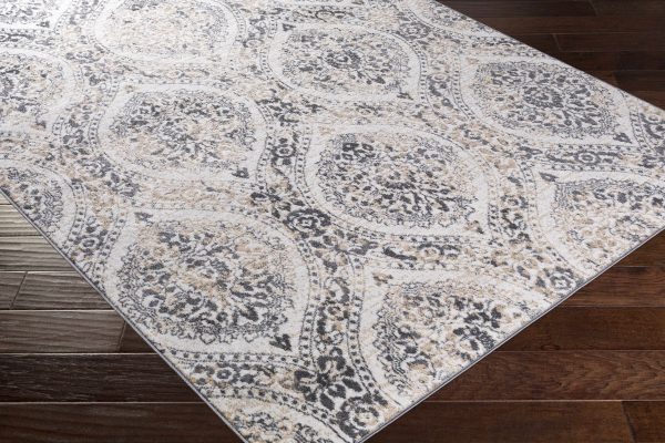 Delmar Area Rug - Clearance Supply - Image 4