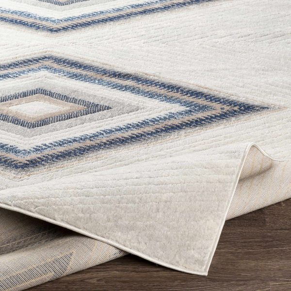 Boise Area Rug - Clearance Discount - Image 4