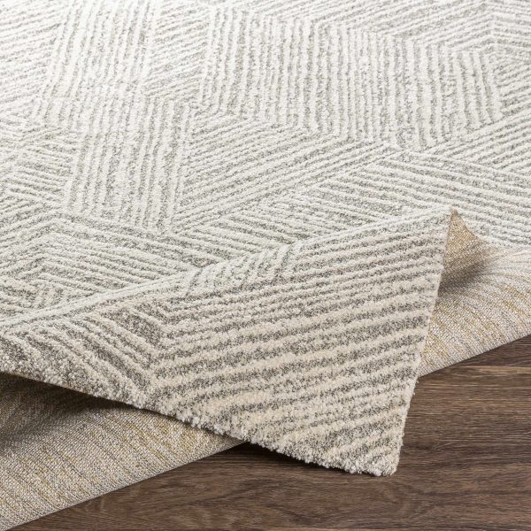 Aberdour Area Rug - Clearance Supply - Image 5