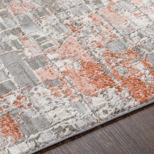 Bilaran Area Rug - Clearance Discount - Image 3