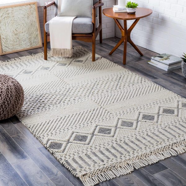 Blakeview Wool Rug - Clearance For Discount