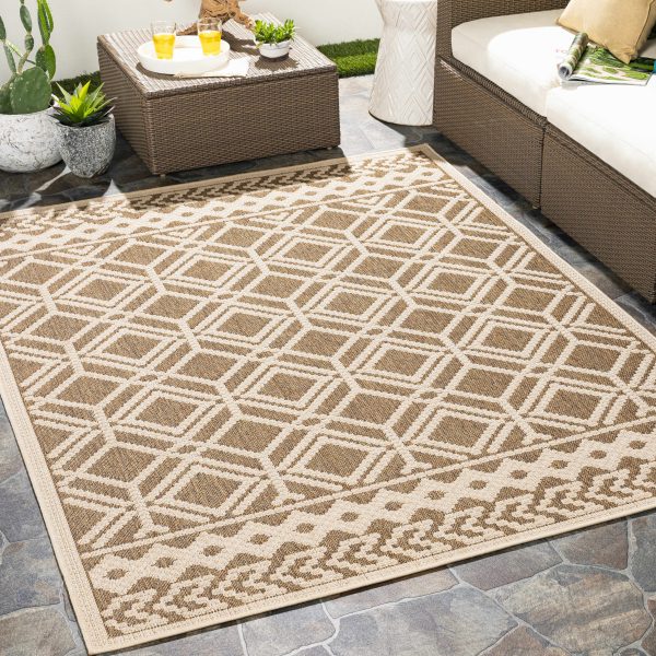 Lyman Area Rug - Clearance Sale