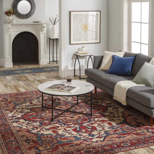Alleyton Red Medallion Area Carpet Online - Image 3