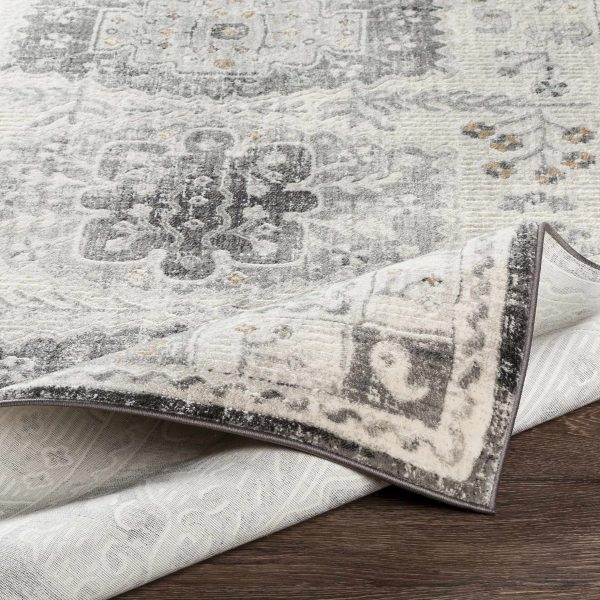 Lochbuie Area Rug - Clearance For Discount - Image 3