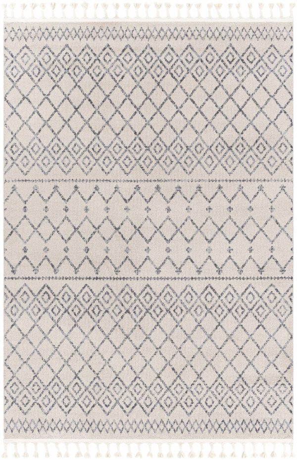 Manomet Rug - Clearance For Cheap - Image 2