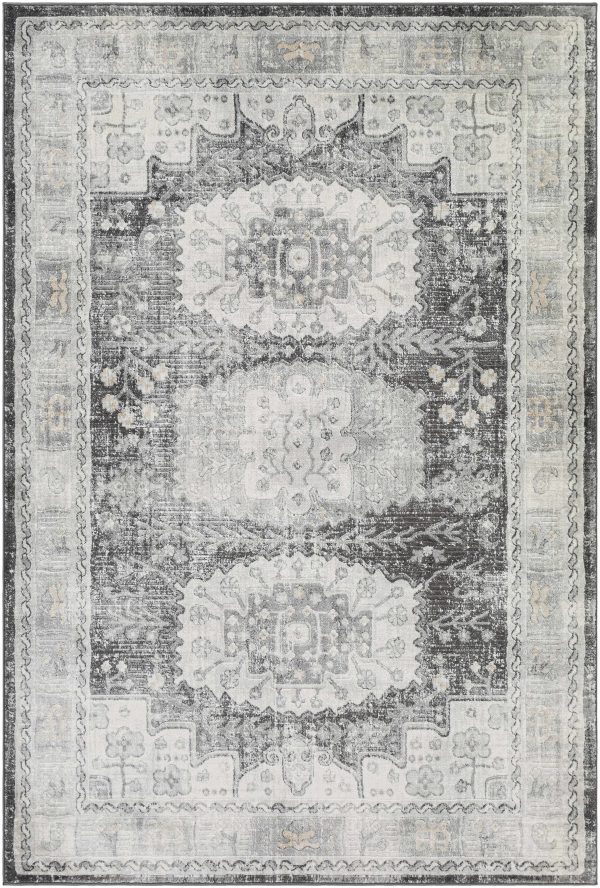 Vanderbilt Area Rug - Clearance For Sale - Image 2