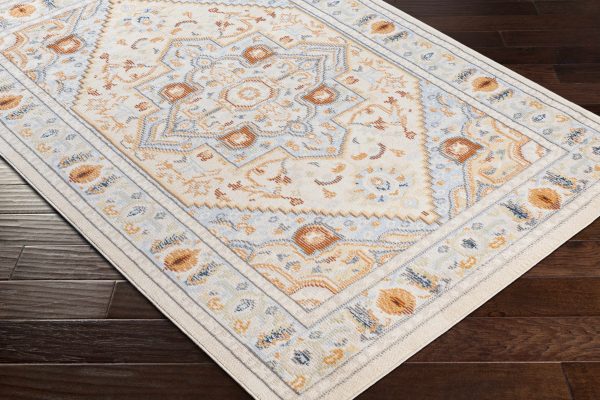 Dalkey 5x7 Area Rug - Clearance Discount - Image 3