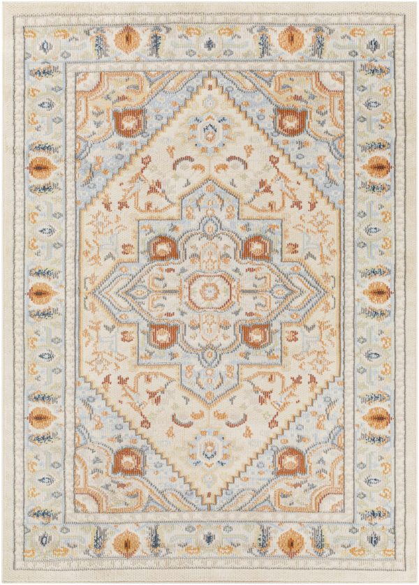 Dalkey 5x7 Area Rug - Clearance Discount