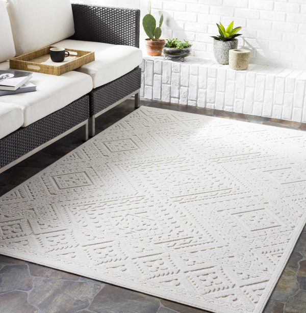 Trigg Outdoor Rug Online